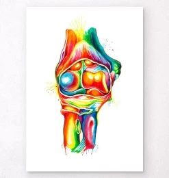 Elbow Anatomy - Watercolor Splash