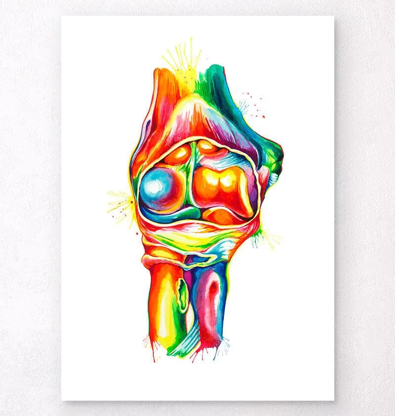 Elbow Anatomy - Watercolor Splash 3 Elbow Anatomy - Watercolor Splash