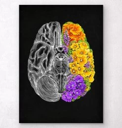 Anatomical Brain With Flowers - Black