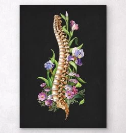 Spine Anatomy - Floral - Black