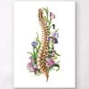 Spine Anatomy - Floral - White 1 Spine Anatomy - Floral - White -Codex Anatomicus Shop LPA369