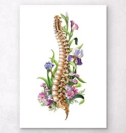 Spine Anatomy - Floral - White