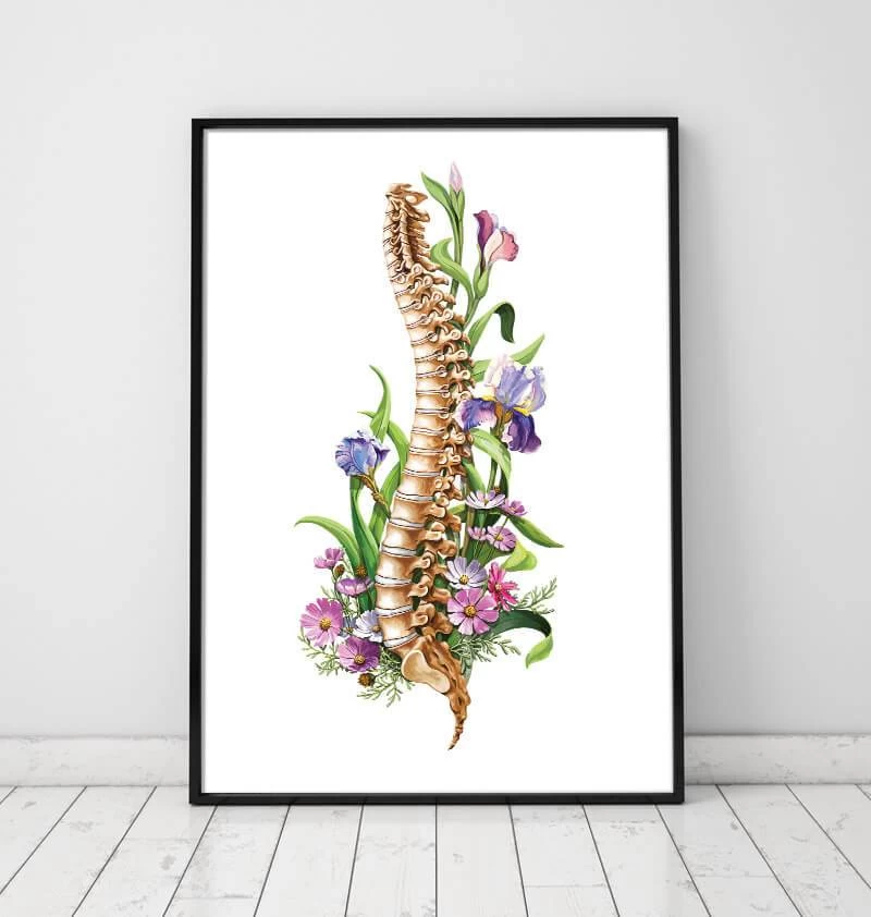 Spine Anatomy - Floral - White 4 Spine Anatomy - Floral - White - Image 2