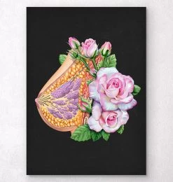 Breast Anatomy - Floral - Black
