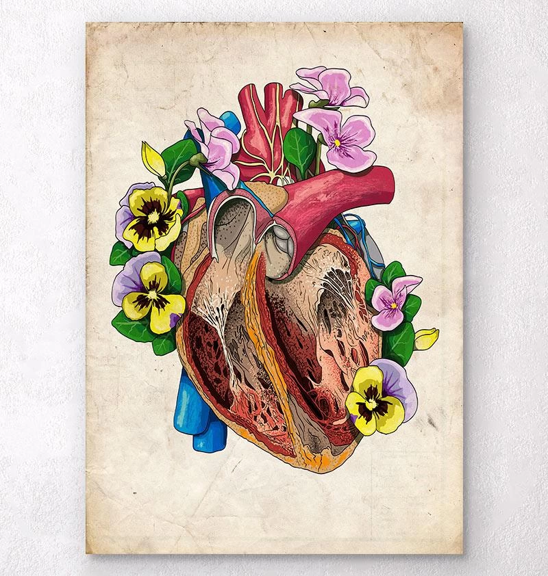 Floral Heart Anatomy II - Floral - Vintage 3 Floral Heart Anatomy II - Floral - Vintage