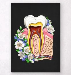 Tooth Anatomy II - Floral - Black