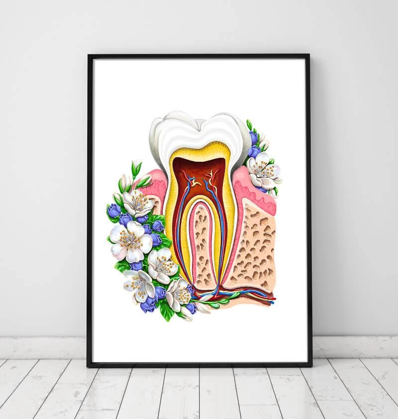Tooth Anatomy II - Floral - White 4 Tooth Anatomy II - Floral - White - Image 2