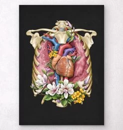 Heart, Lungs And Rib Cage - Floral - Black