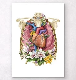 Heart, Lungs And Rib Cage - Floral - White