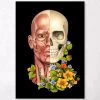 Facial Muscles Anatomy - Floral - Black -Codex Anatomicus Shop LPA391