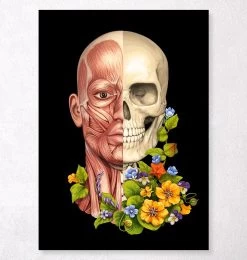 Facial Muscles Anatomy - Floral - Black