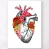 Anatomical Heart With Flowers II - White