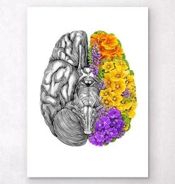 Anatomical Brain With Flowers - White