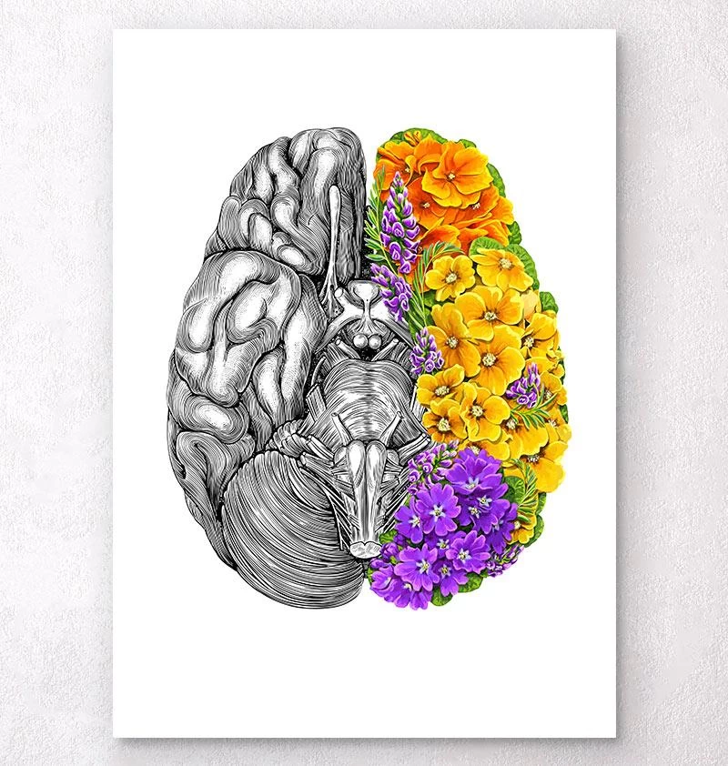Anatomical Brain With Flowers - White 3 Anatomical Brain With Flowers - White