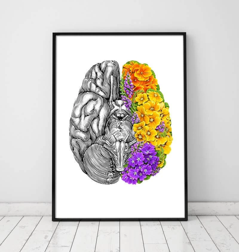 Anatomical Brain With Flowers - White 4 Anatomical Brain With Flowers - White - Image 2