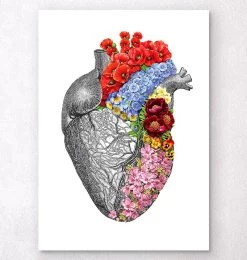 Anatomical Heart With Flowers - White