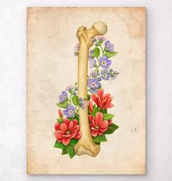 Femur Anatomy - Floral - Vintage