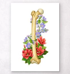 Femur Anatomy - Floral - White