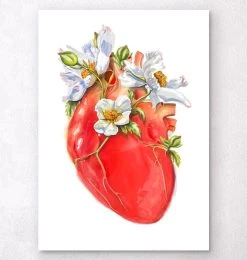Heart Anatomy II - Floral - White