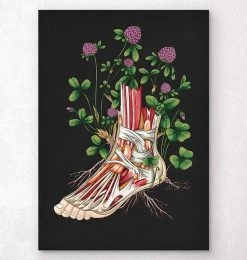 Floral Foot Anatomy - Black