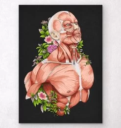 Male Body Anatomy Art - Black