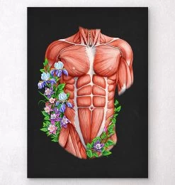 Male Torso Muscles - Floral - Black