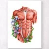Male Torso Muscles - Floral - White -Codex Anatomicus Shop LPA432