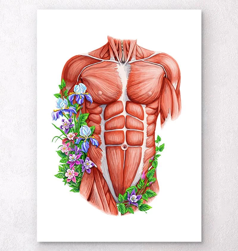 Male Torso Muscles - Floral - White 3 Male Torso Muscles - Floral - White