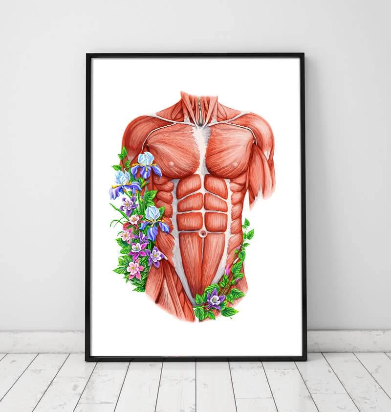 Male Torso Muscles - Floral - White 4 Male Torso Muscles - Floral - White - Image 2