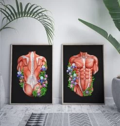 Male Back Muscles - Floral - Black -Codex Anatomicus Shop LPA435 3