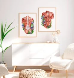Male Back Muscles - Floral - White -Codex Anatomicus Shop LPA436 2