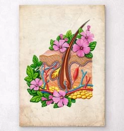 Skin Anatomy - Floral - Vintage