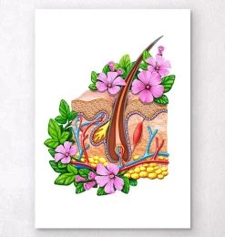 Skin Anatomy - Floral - White