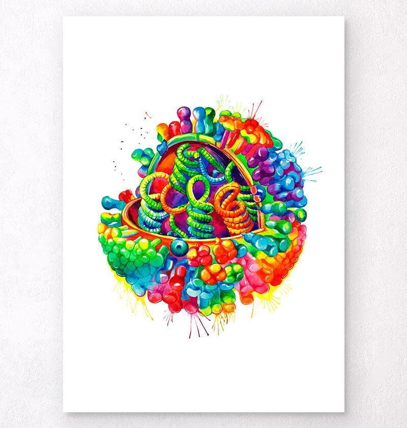 Virus Anatomy - Watercolor Splash 3 Virus Anatomy - Watercolor Splash