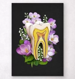 Tooth Anatomy - Floral - Black