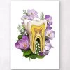 Tooth Anatomy - Floral - White