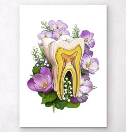 Tooth Anatomy - Floral - White
