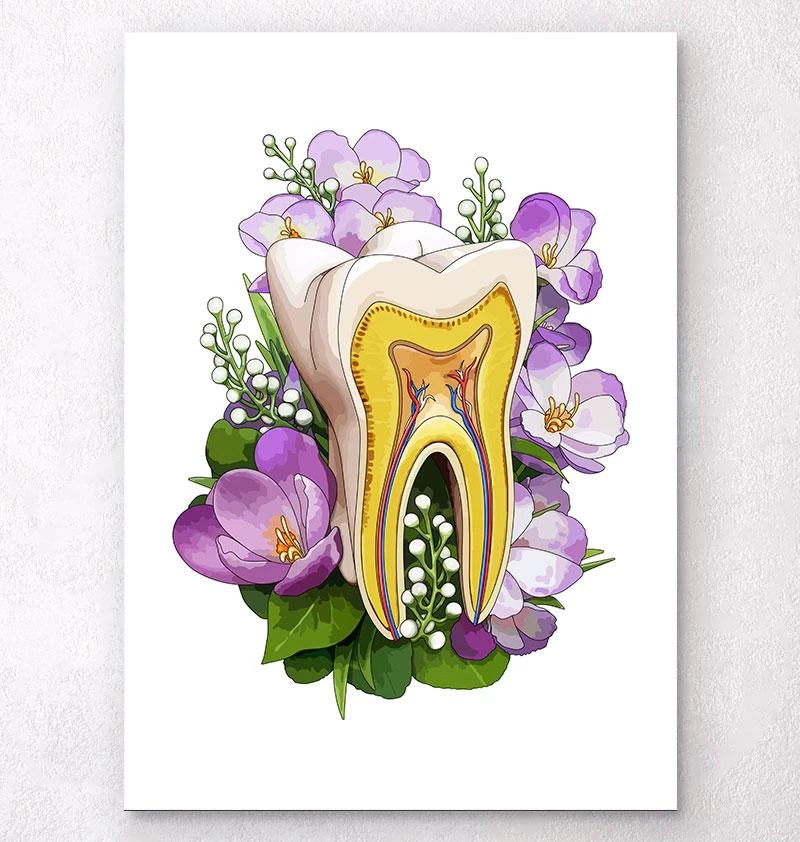 Tooth Anatomy - Floral - White 3 Tooth Anatomy - Floral - White