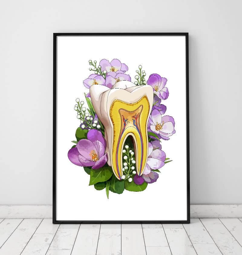 Tooth Anatomy - Floral - White 4 Tooth Anatomy - Floral - White - Image 2