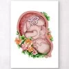 Fetus In A Womb II - Floral - White 1 Fetus In A Womb II - Floral - White -Codex Anatomicus Shop LPA461