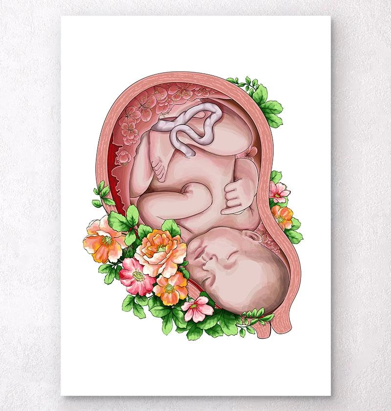 Fetus In A Womb II - Floral - White 3 Fetus In A Womb II - Floral - White