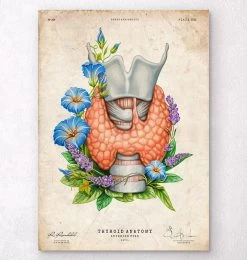 Thyroid Anatomy Art - Floral - Vintage