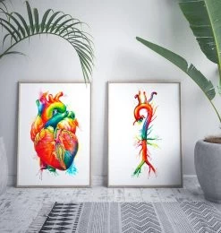 Aorta Anatomy - Watercolor Splash -Codex Anatomicus Shop LPA512 2
