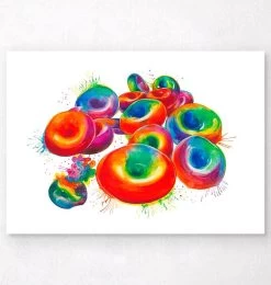 Red Blood Cells - Watercolor Splash
