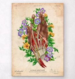 Hand Anatomy - Dark Skin Tone - Floral - Vintage