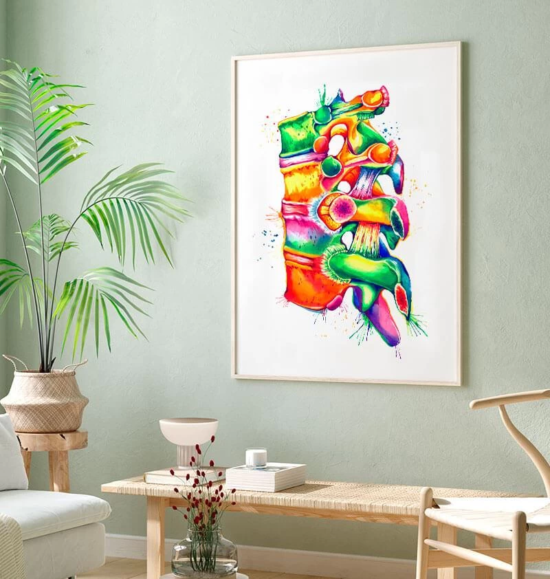 Spine Anatomy II - Watercolor Splash 4 Spine Anatomy II - Watercolor Splash - Image 2