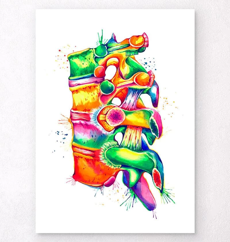 Spine Anatomy II - Watercolor Splash 3 Spine Anatomy II - Watercolor Splash