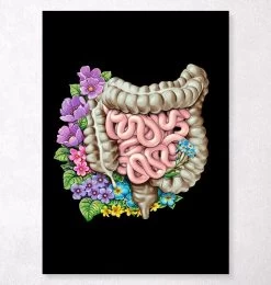 Intestines Anatomy - Floral - Black