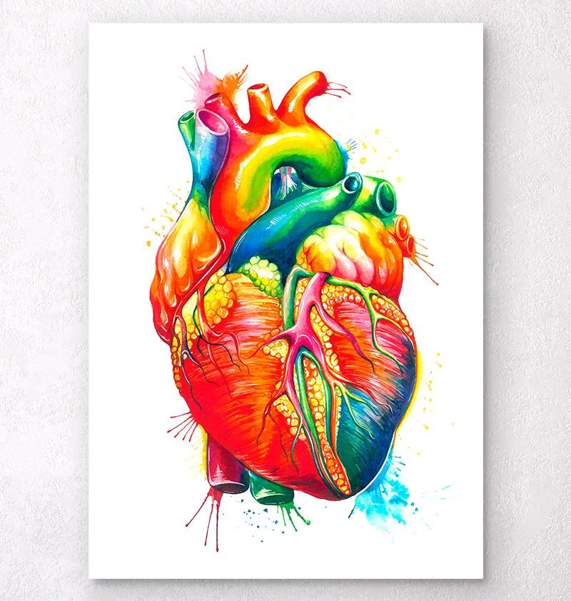 Anatomical Heart Art II - Watercolor Splash 3 Anatomical Heart Art II - Watercolor Splash