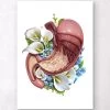 Stomach Anatomy - Floral - White -Codex Anatomicus Shop LPA520 v